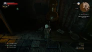 Geralt standing in front of another invisible NPC, located in the laboratory