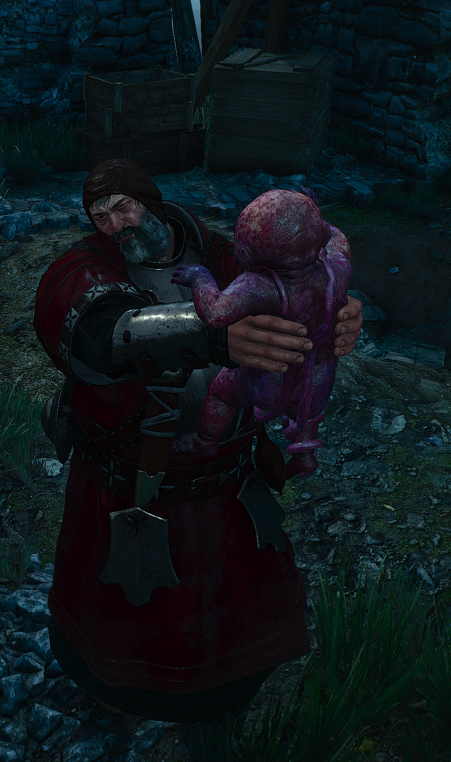 the witcher 3 wild hunt family matters