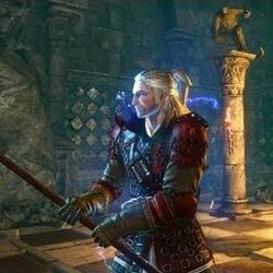 Category The Witcher 2 Epic Items Witcher Wiki Fandom