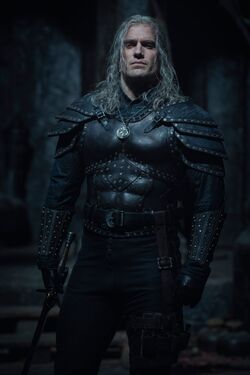 Wiedźmin (série de televisão), The Witcher Wiki