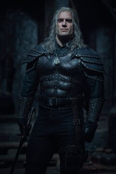 The Witcher: Rise of the White Wolf, Witcher Wiki