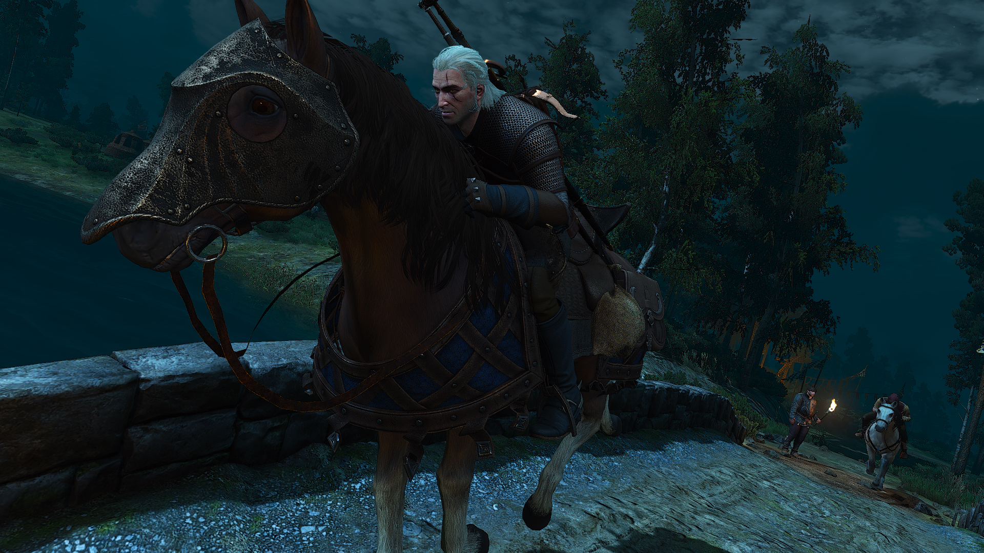 The witcher 3 geralt horse фото 66