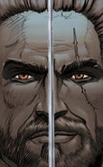 Geralt in the Matters of Conscience comic book.