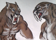 A smilodon-based werecat – concept art for Reasons of State