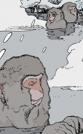 Monkey twr