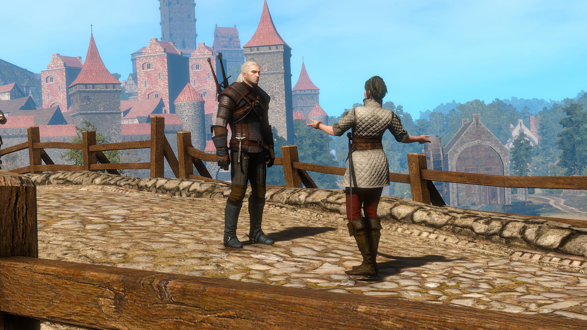 Fencing Lessons | Witcher Wiki | Fandom