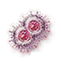 Lesser Red Mutagen Witcher Wiki Fandom