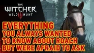 The Witcher 3- Wild Hunt - Roach