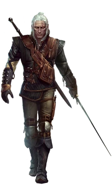 in The Witcher 2