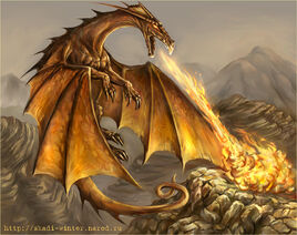 Golden dragon