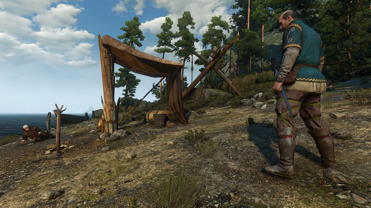 Free Spirit Witcher Wiki Fandom Free Spirit Witcher Wiki Fandom