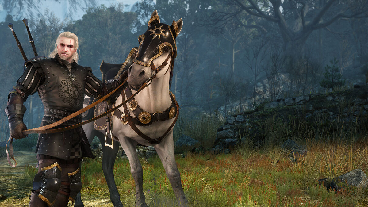 You Need To Get The Witcher 3's New Netflix Armor Quest & Set