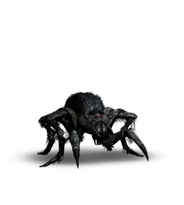 Tw3 journal arachnomorph