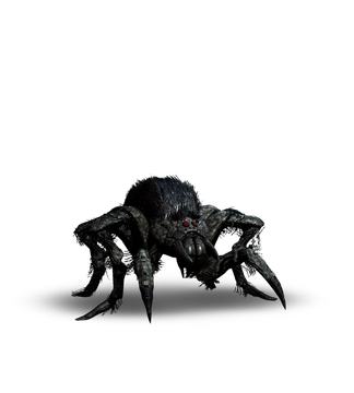 Arachnomorph | Witcher Wiki | Fandom