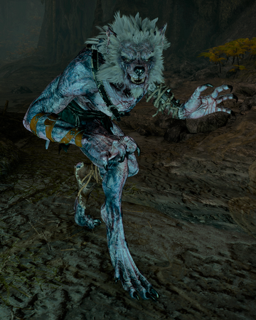 witcher wiki fandom