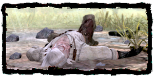 Geralt, unconscious