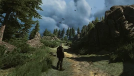 Harpy-feeding-ground