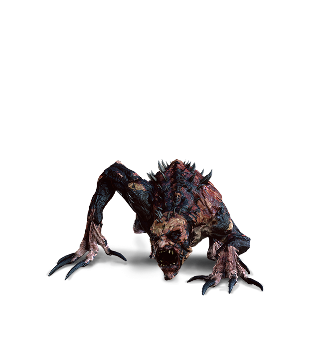 Alghoul, Witcher Wiki