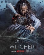 Official Netflix Season 3 "The Witcher" promotional poster for Fringilla.