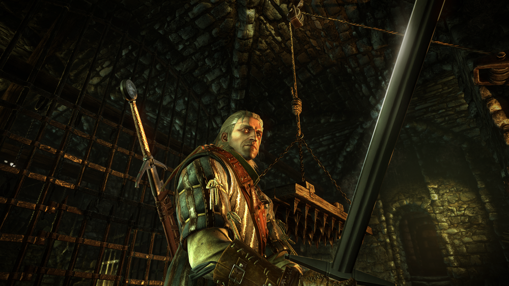 The Witcher 2: Assassins of Kings, Witcher Wiki