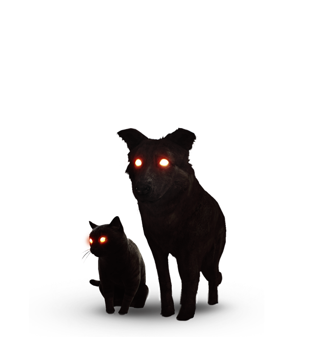 The Black Cat and Dog, Witcher Wiki