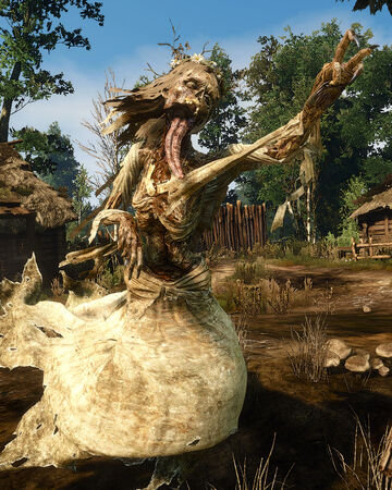 Contract Devil By The Well Witcher Wiki Fandom