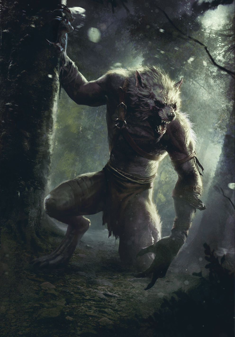 Werewolf, Witcher Wiki