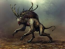 wallpapers Witcher 3 Fiend Dung Bug fiend witcher wiki fandom