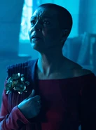 Netflix witcher s2 nenneke.jpg (1.24 MB) Nenneke in Netflix's The Witcher