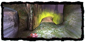 Scoia'tael path start point