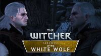 The Witcher Farewell of the White Wolf - 2018 vs 2020 Graphics Comparison