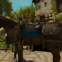 Toussaint Saddle Witcher Wiki Fandom For joining the tournament you'll be given some proper knight's armor, including either ravix of fourhorn's armor or geralt of rivia's armor and some toussaint knight's gauntlets, toussaint knight's boots and toussaint knight's trousers. toussaint saddle witcher wiki fandom