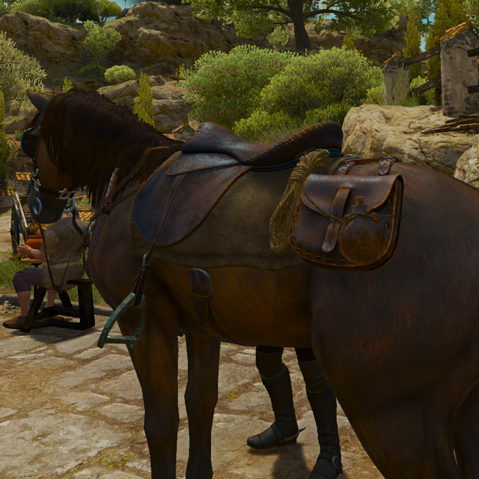 Saddlebags Witcher Wiki Fandom