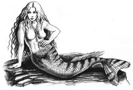 Mermaid form