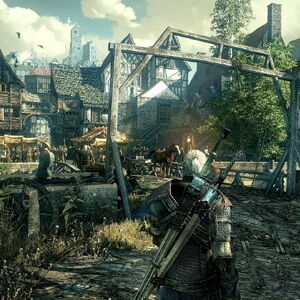 witcher 3 wii
