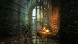 Scenes Gellert and gang