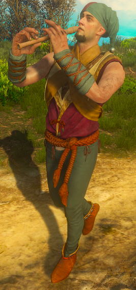 BaW pied piper