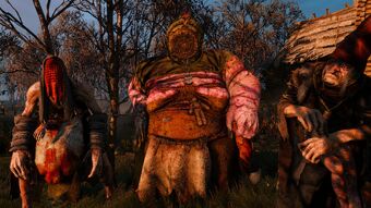 Ladies Of The Wood Witcher Wiki Fandom