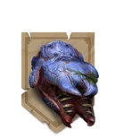 Twms trophy arachas lvl4