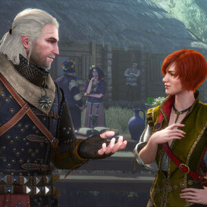 Hearts Of Stone Witcher Wiki Fandom