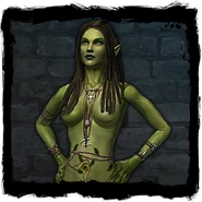 Morenn's journal image