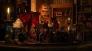 The Witcher 3 - King Radovid Meeting
