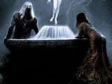Divination