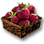 Tw3 strawberries