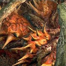 The Ghost In The Tree Witcher Wiki Fandom