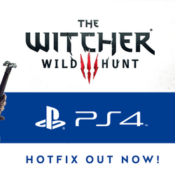 Category The Witcher 3 Patches Witcher Wiki Fandom
