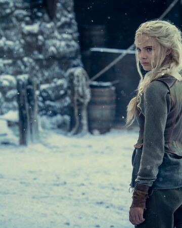 Featured image of post The Witcher Wiki Netflix