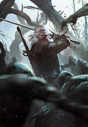 The Witcher 3: Wild Hunt alternative gwent card card