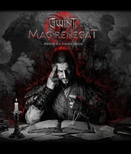 GWENT Rogue Mage pl Keyart pl