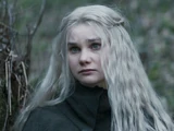 Cirilla Fiona (imposter)/Netflix series